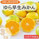 【ふるさと納税】和歌山県産 ゆら早生みかん サイズおまかせ3kg 農家直送【2024年10月中旬頃より順次発送予定】 | みかん 3kg 和歌山 蜜柑 和歌山県産 早生 先行予約 農家直送 特産品 名産品 ご当地 フルーツ ふるさと納税 返礼品