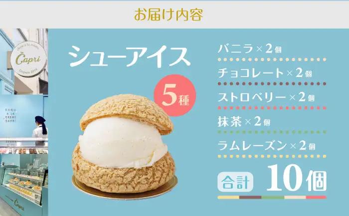 シューアイス 10個セット シューアイス BLBH001