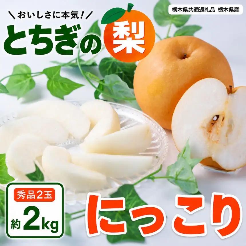 梨 にっこり 大玉 2玉 秀品 約2kg | 2026年10月～11月発送  栃木県共通返礼品 栃木県産 矢板市