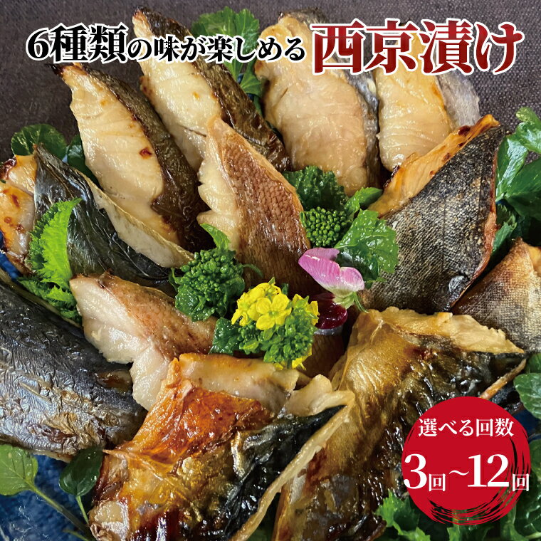 【ふるさと納税】【定期便】 骨取り 西京焼き 西京漬け 魚 セット 詰め合わせ 6種 12枚 選べる回数 冷凍 切り身 小分け 焼き魚 骨なし 食べやすい フライパン 簡単料理 美味しい おかず お弁当 ご飯のお供 おつまみ 西京味噌 漬け魚 西京焼 西京漬 銀鰆 銀ヒラス ホッケ 鯖