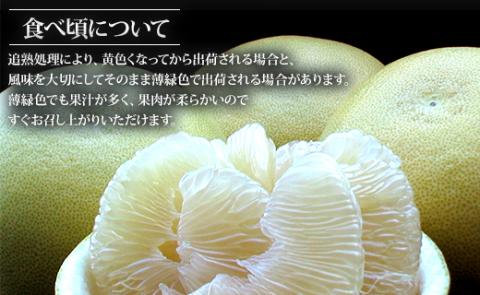 先行予約受付！高知県香南市産 水晶文旦 約3kg（5～7玉入り）- 送料無料 果物 くだもの フルーツ 柑橘 ブンタン ぶんたん デザート 期間限定 おすそ分け 贈答 高知県 香南市 ku-0031
