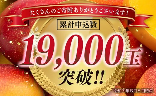 【7月29日終了】今が旬！宮崎県産完熟マンゴー3L×2個 西都市特産品宮崎マンゴー＜1.5-132＞宮崎マンゴー 果物 フルーツ 甘い