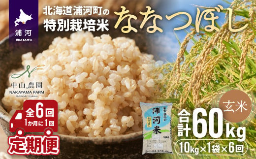 
【令和5年産】浦河の特別栽培米「ななつぼし」玄米(10kg×1袋)定期便(全6回)[37-1174]
