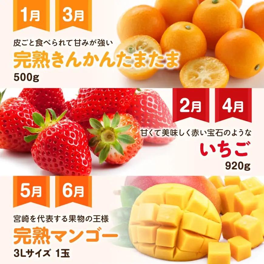 【 12ヶ月定期便 】 デラックス 定期便 【 川南町産 くだもの きんかん いちご 完熟 マンゴー ぶどう ピオーネ シャイン マスカット 大玉 メロン 】