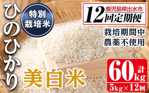 
            i869-C ＜定期便・計12回(連続)＞ひのひかり 特別栽培米 美白米 ＜5kg×全12回＞ 米 お米 60kg 定期便 美白米 ヒノヒカリ 自家精米 精米 おにぎり ごはん お米マイスター 厳選【田上商店】
          