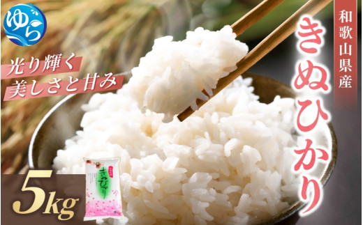 和歌山県産 キヌヒカリ 5kg（2025年産） / お米 きぬひかり 白米 由良町 令和7年 人気 おすすめ ※2025年9月中旬より順次発送予定【sml400-kinu-5】