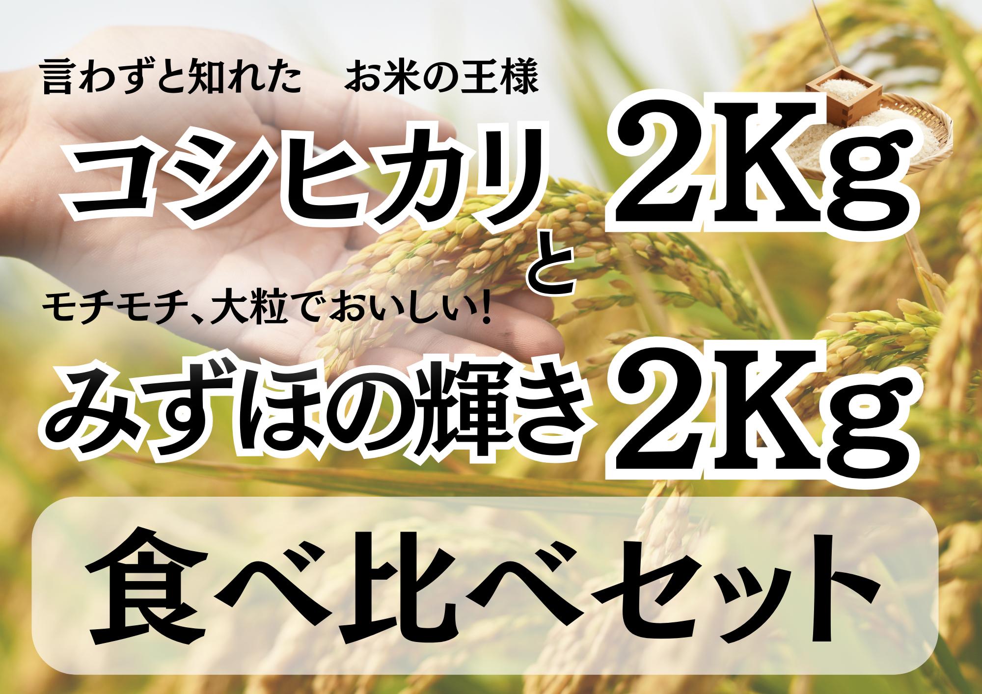 
            【新米】糀屋こだわり 自家栽培 コシヒカリ＆みずほの輝き 食べ比べセット 各2kg(計4kg)  3B01010
          