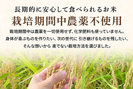 令和7年産新米 玄米 5kg 栽培期間中農薬不使用 こしひかり 茨城県産 米 お米 コメ ご飯 コシヒカリ 食味豊か 甘み 旨み 冷めても 美味しい お弁当 向け 食卓常備 産地直送 茨城県 潮来市 