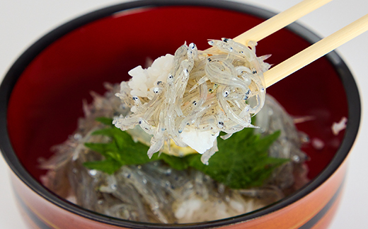 《500g》特上新鮮生しらす(100g×5袋)漁師直送!鮮度が自慢　個包装で便利【配送不可地域：離島】【1737687】