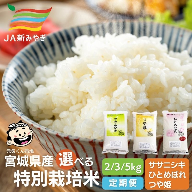【ふるさと納税】米 ひとめぼれ ササニシキ つや姫 元気くん市場 令和7年産 宮城県産 お米 食べ比べ 定期便 ひとめぼれ ササニシキ つや姫 白米 精米 セット 2kg 3kg 5kg