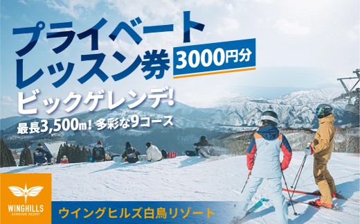 ウイングヒルズ白鳥リゾート プライベートレッスン利用券 3,000円分 スキー スノーボード スキー場 チケット 白鳥エリア スポーツ 岐阜県 チケット スキーチケット 近畿・中部 スキーチケット 中部