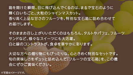 【 お歳暮 熨斗付き 】 白いちご と シャインマスカット の宝石箱 18粒【2025年12月上旬発送開始】(茨城県共通返礼品：大子町) いちご マスカット 果物 フルーツ 旬 季節限定 期間限定 贈