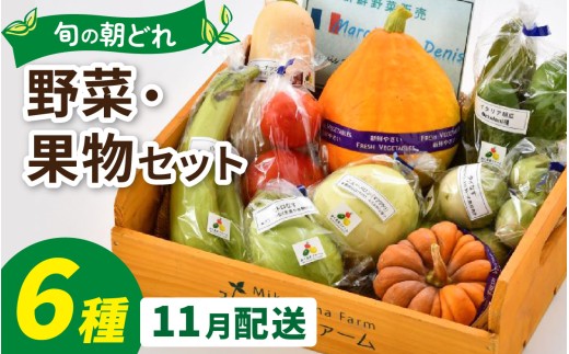 朝どれ 旬な野菜 果物セット 6種類セット【1回単発便】【お届け月11月】/ 農薬・化学肥料不使用