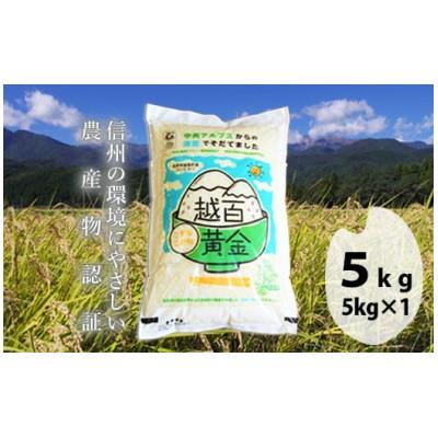ふるさと納税 飯島町 長野県産 越百黄金米(精米)5kg