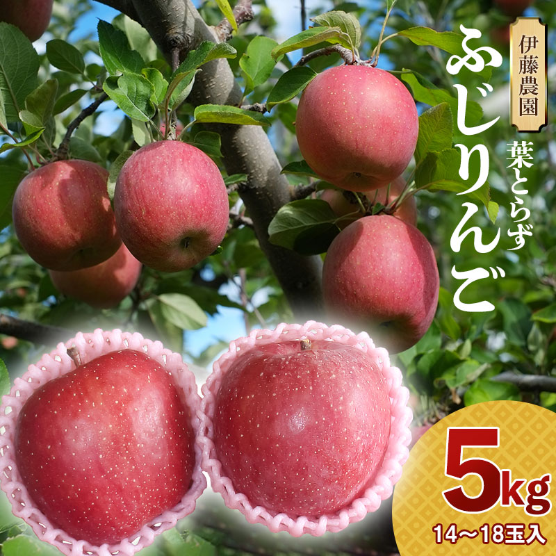 【ふるさと納税】【令和7年産先行予約】葉とらずリンゴ「ふじりんご」 5kg（14〜18玉）山形県鶴岡市産