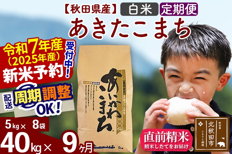 ※令和7年産 新米予約※《定期便9ヶ月》秋田県産 あきたこまち 40kg【白米】(5kg小分け袋) 2025年産 お届け周期調整可能 隔月に調整OK お米 藤岡農産|foap-11109