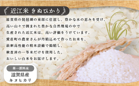 近江米　きぬひかり　白米10㎏ 令和5年産  BD02	