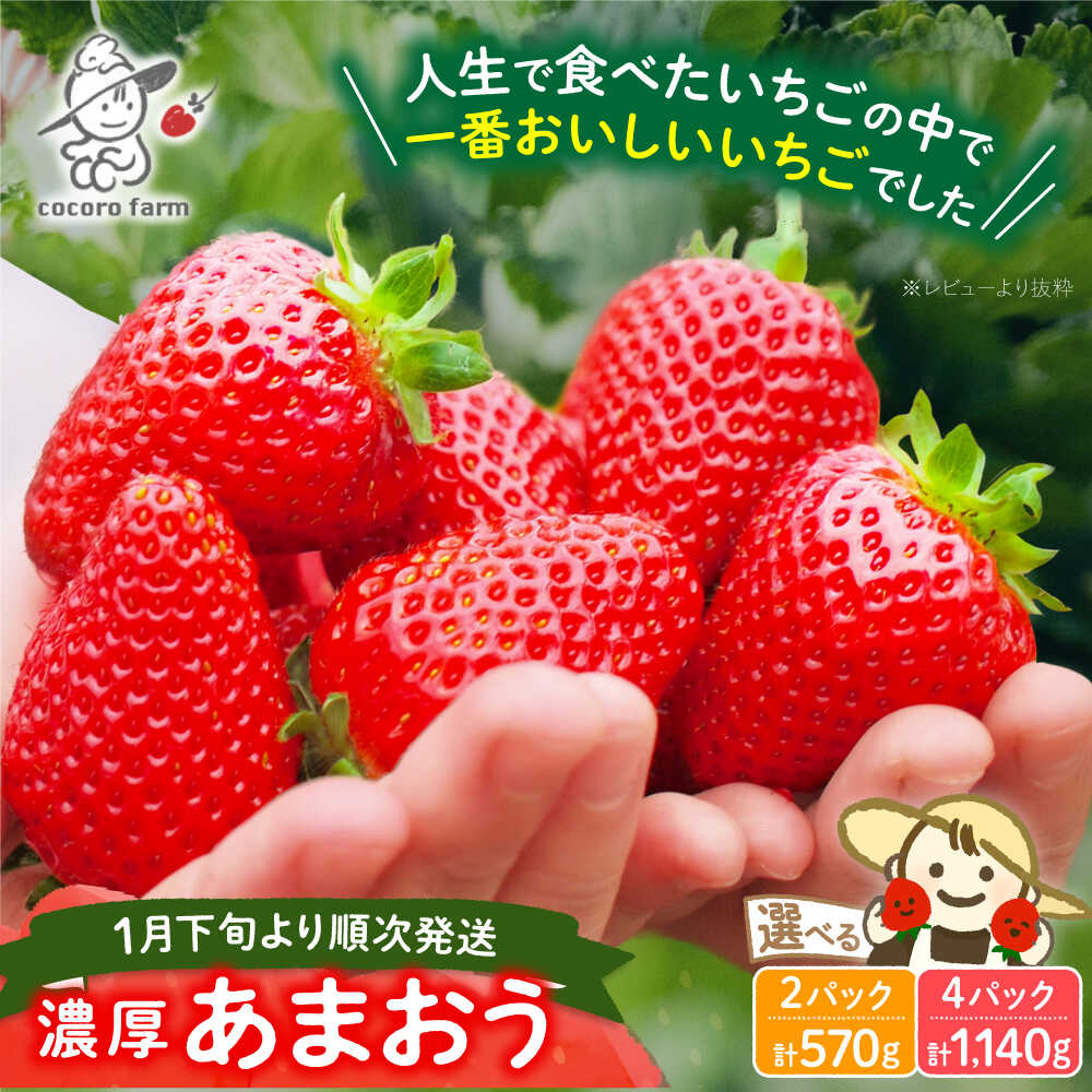 【ふるさと納税】【先行予約】【2026年1月下旬〜4月中旬発送】ココロファームの濃厚あまおう 2パック / 4パック (選べる個数)《豊前市》【ココロファーム】[VAE007] 苺 いちご あまおう 福岡県産 【※北海度・沖縄および離島への配送不可】
