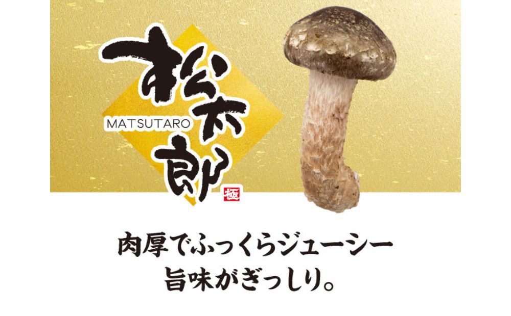 松太郎ギフト（生詰め合わせ）【夏季冷蔵便対応】