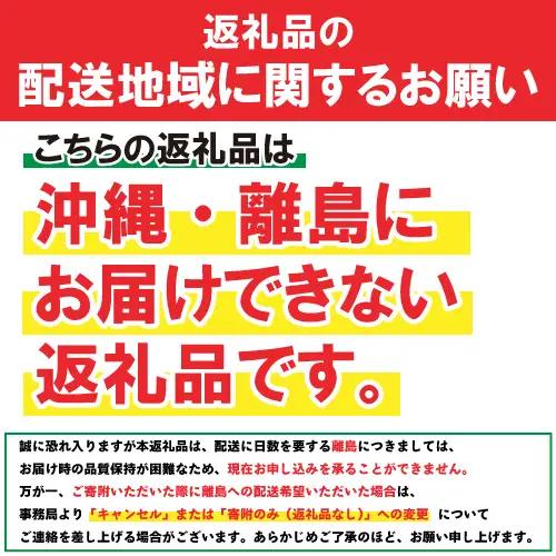 オーブンパン 25cm 蓋付き 南部鉄器  株式会社壱鋳堂 南部鉄器