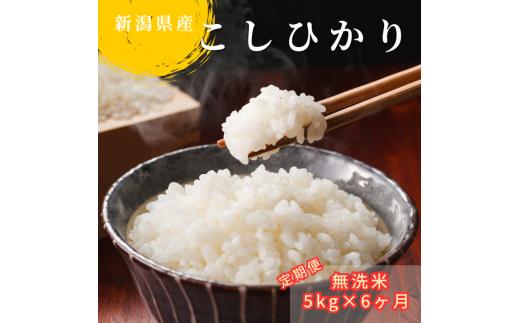 無洗米 定期便 5kg×6か月 (計 30kg) 新潟県産 コシヒカリ 令和6年産 精米したてをお届け 新潟のど真ん中 見附市 こしひかり