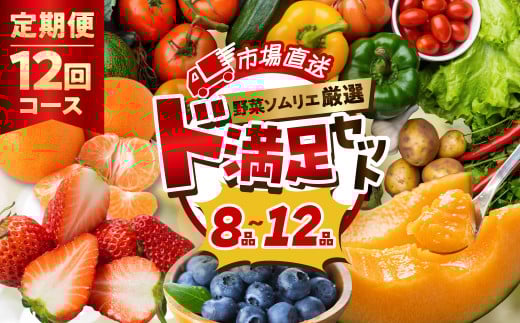 【12回定期便】 旬の野菜 フルーツ 詰め合わせ 8品～12品 セット 旬 野菜ソムリエ 厳選 野菜セット フルーツ メロン いちご トマト アスパラガス トウモロコシ 玉ねぎ 国産 人気 ランキング やさい 野菜 果物 田原市 定番 8品目 12品目 頒布会