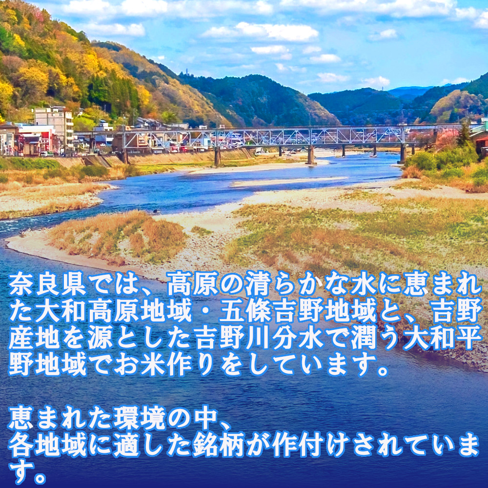 無洗米 奈良県産 ヒノヒカリ 20kg （5kg×4） ／ 全農パールライス 米 お米 白米 国産 奈良県 葛城市_イメージ2