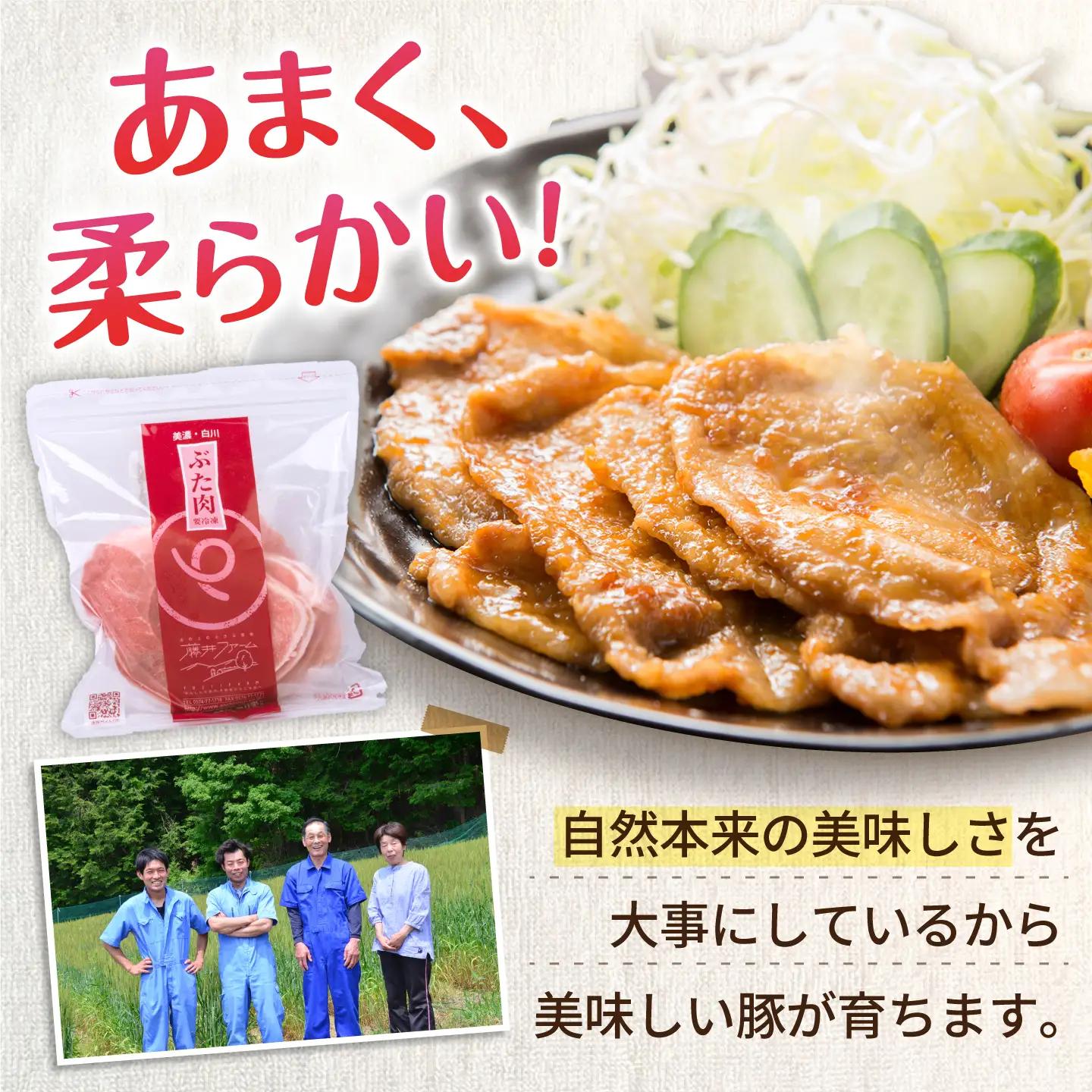 豚肉 モモスライス 計840g 藤井ファーム[AWAF089]豚もも肉