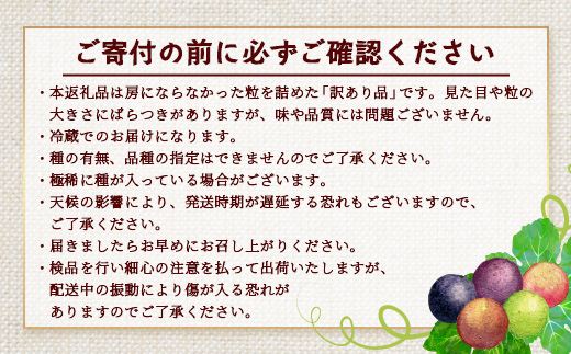 【ふるさと納税】【期間限定・数量限定】今が旬 ＜訳あり＞ 本土最南端ぶどう ころころぶどうパック 約1.2kg TE707｜ 家庭用 産地直送 旬 ブドウ 葡萄 ぶどう フルーツ 果物 くだもの 果実 食べ比べ 鹿児島県 南大隅町 有限会社ティエラ