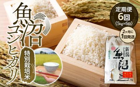 【令和7年産新米予約】定期便６回！！魚沼コシヒカリ特別栽培米５kg×６回（２カ月に１回発送）【2025年10月上旬より順次発送予定】