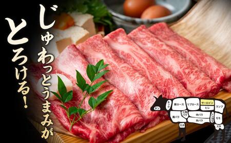 厳選部位 博多和牛 サーロイン しゃぶしゃぶすき焼き用 600g ( 300g×2パック ) | 牛肉 和牛 黒毛和牛 牛 スライス 小分け しゃぶしゃぶ すき焼き すきやき 焼きしゃぶ お鍋 鍋 お