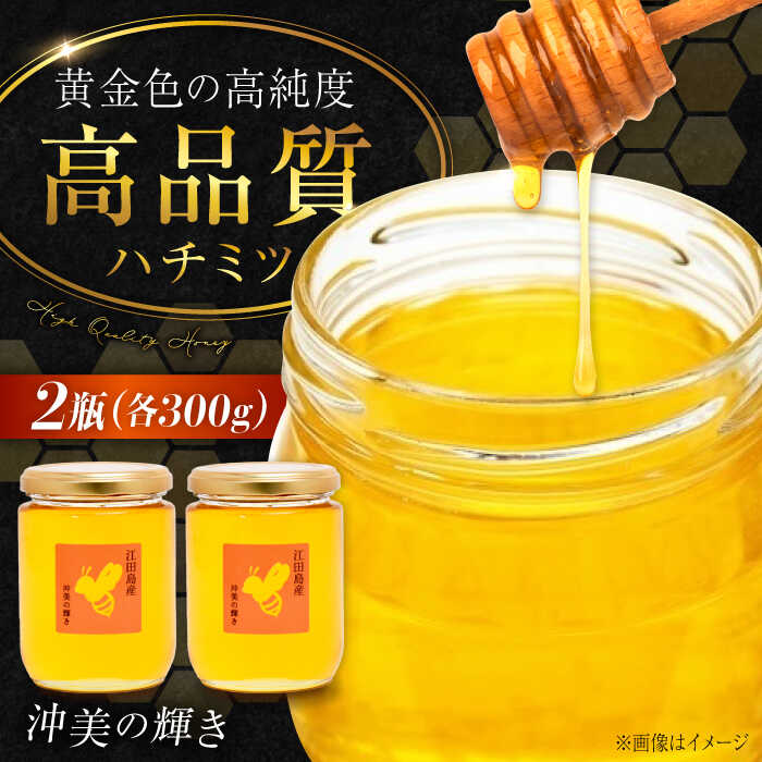 【ふるさと納税】江田島産100％ はちみつ『沖美の輝き』300g×2本 はちみつ ハチミツ 蜂蜜 ジャム ハニー 非加熱 純粋はちみつ パン 国産 常温 備蓄 保存食 非常食 セット 小分け ギフト 広島県 人気 送料無料 江田島市/はつはな果蜂園 [XCD004]