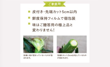 訳あり とうもろこし 品種： 甘々娘 または 甘太郎 家庭用『訳ありテルもろこし』約8本～12本 先行予約（6月中旬頃より順次発送）先端カット済【配送不可：離島】 野菜