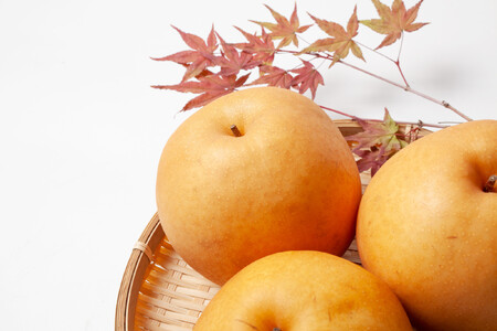 【先行予約】新高　約５kg（7～10玉）9月下旬～順次発送【吉川果樹園】