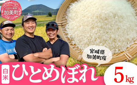 【新米予約】ひとめぼれ 5kg ｜ ひとめぼれ