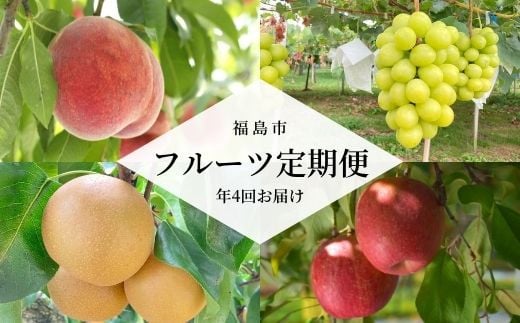 No.2261あかつきから始まるフルーツ4品定期便【2025年発送　先行予約】