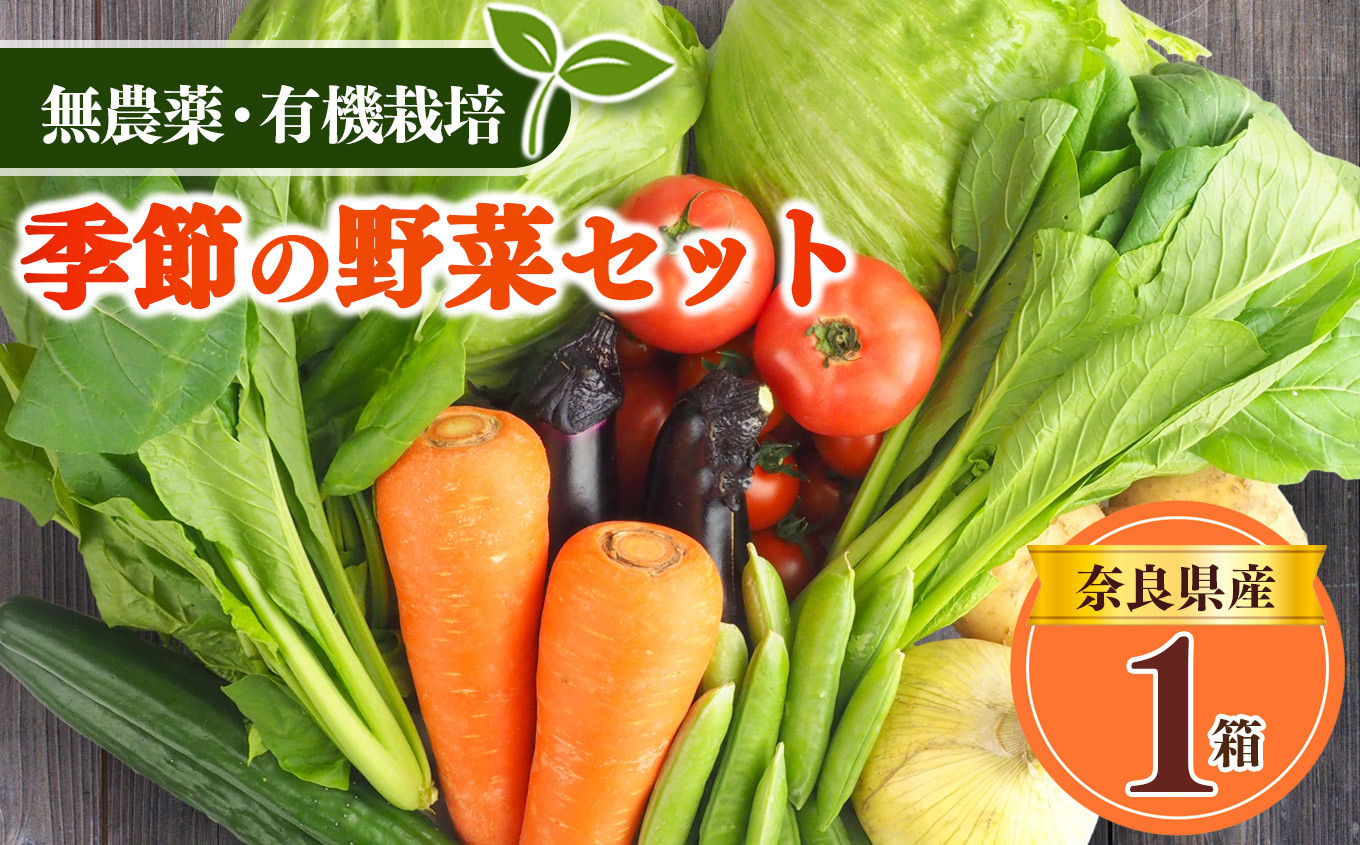 
生命の農法（無化学農薬・無化学肥料栽培）季節の野菜セット
