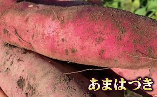 
            7-010-024　さつまいも（あまはづき）5kg【マルゼン佐藤果樹園】
          