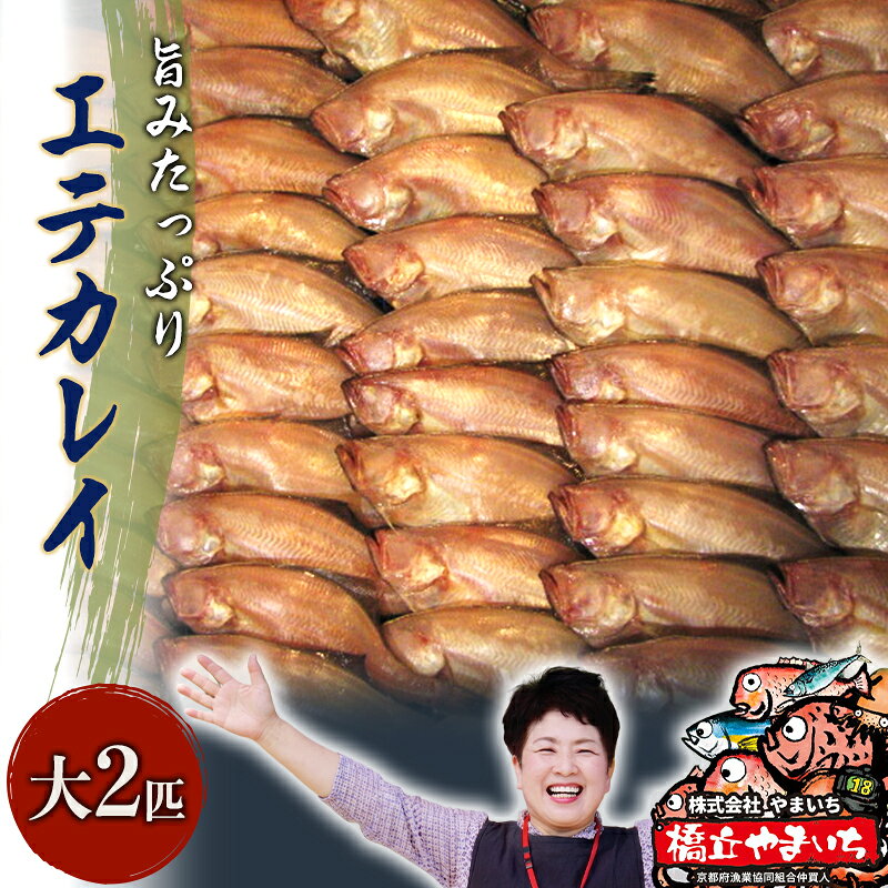 【ふるさと納税】一夜干し 旨みたっぷりエテカレイ 4匹 セット 大 魚貝類 魚 干物 ひもの 日本酒 肴 珍味 天日一夜干し 手作業 新物 ご飯のお供 京都府宮津市