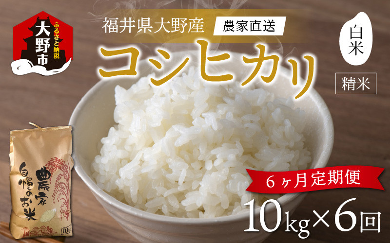 
            【令和7年産 新米】【6ヶ月定期便】福井県大野市産 コシヒカリ 白米 精米 10kg 農家直送
          