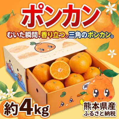 【発送月固定定期便】【2026年12月からの4ヶ月定期便】ポンポンパック 定期便全4回【4093338】