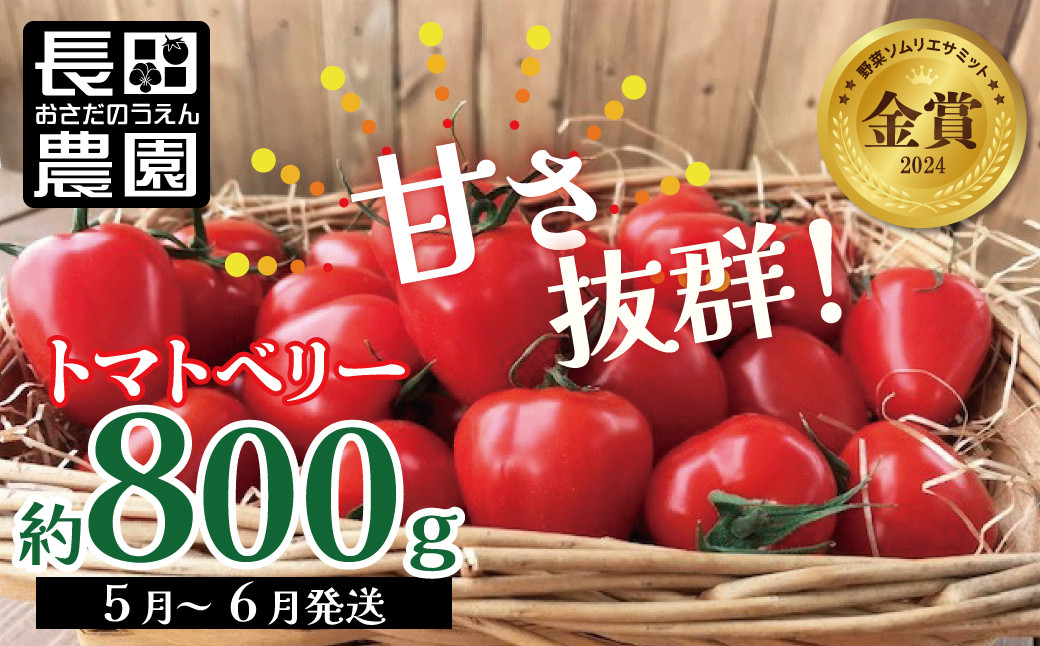 
【お試し】幻のミニトマト🍅トマトベリー約800g 長田農園 野菜ソムリエサミット 金賞 受賞 産地直送 トマト とまと 野菜 やさい フルーツ サラダ 濃厚 甘い ご褒美 プレゼント 美容 健康 リピート多数 人気 高評価 先行受付 数量限定 碧南市 H004-114
