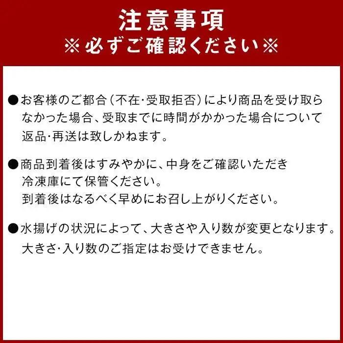 冷凍 伊勢海老 お鍋用 約 2.5kg 産地直送