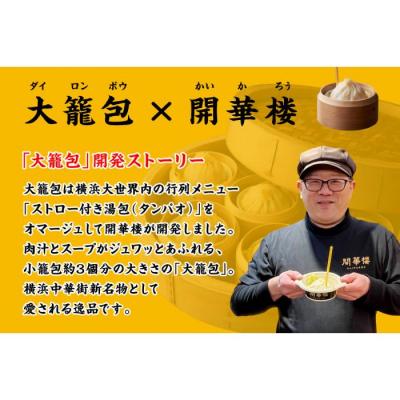 ふるさと納税 横浜市 「 大籠包」(2箱 計4個入り)【横浜中華街 開華楼】[F] |  | 02