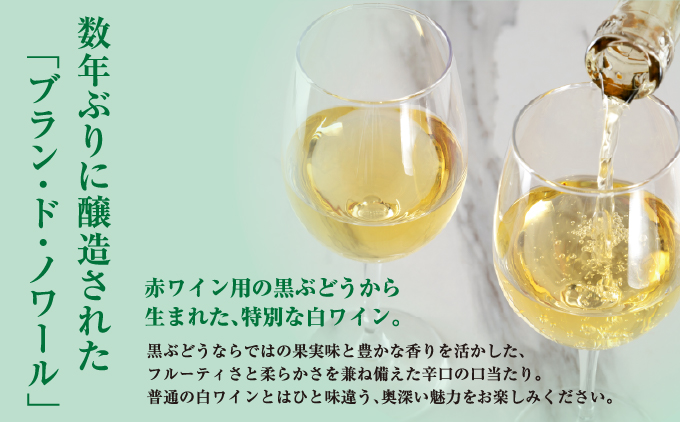 奥尻ワインメルロー（白）750ml | 北海道 奥尻町 送料無料 OKS08-004
