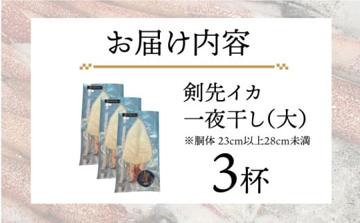 剣先イカ 一夜干 （大） 3杯 《壱岐市》【株式会社マルショウ】 いか イカ 剣先いか セット おつまみ 一夜干し [JEW007] 19000 19000円 のし ギフト