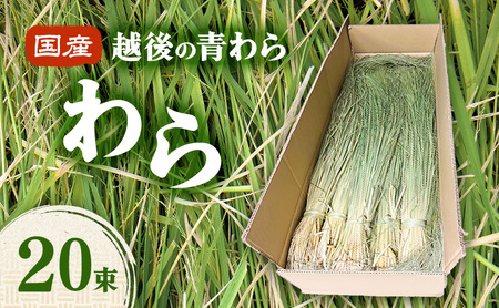 国産越後の青刈りわら 20束 青わら しめ飾り インテリア ハンドメイド 国産 新潟 越後