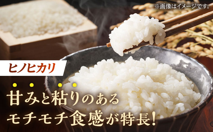 【10月より順次発送】【数量限定】ヒノヒカリ 白米 10kg （5kg×2袋）【竹下農園】 [ZEL001]