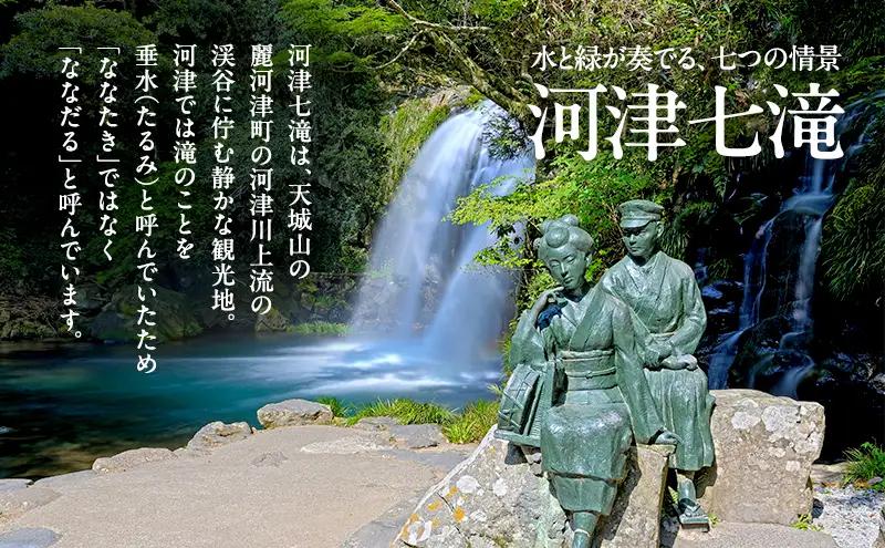 河津七滝の天然水 500ml×24本 定期便3回 ミネラルウオーター  水 飲料水 天然水 ナチュラル ナチュラルウォーター ペットボトル 備蓄 防災 静岡県 河津町　