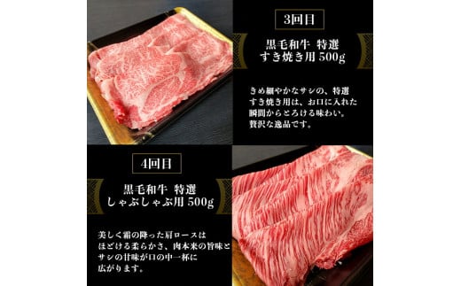 訳あり 京都府産黒毛和牛(A4・A5)人気部位 6回定期便【焼肉・すき焼き・ステーキ2種・しゃぶしゃぶ・ローストビーフ 計2.54kg】京の肉 ひら山 味わいづくし≪定期便 和牛 牛肉 国産 京都 丹